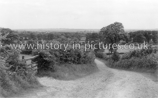 View from Hackmans Road, Cold Norton, Essex. c.1915